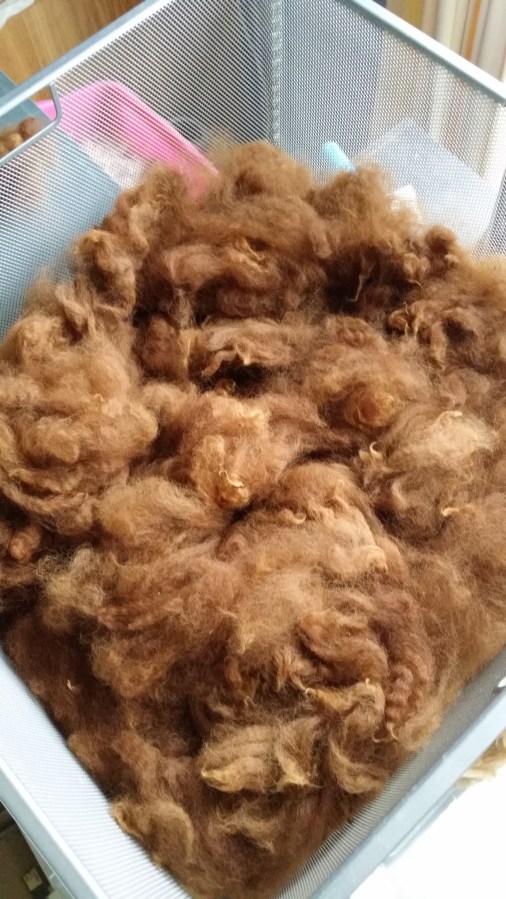 Shorn fibre
