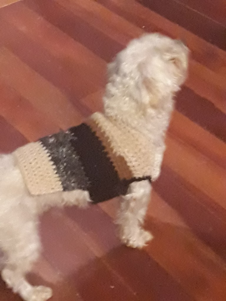 alpaca dogcoat (small) $30 NZD